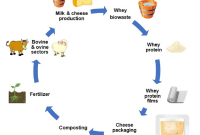 Is whey protein acidic