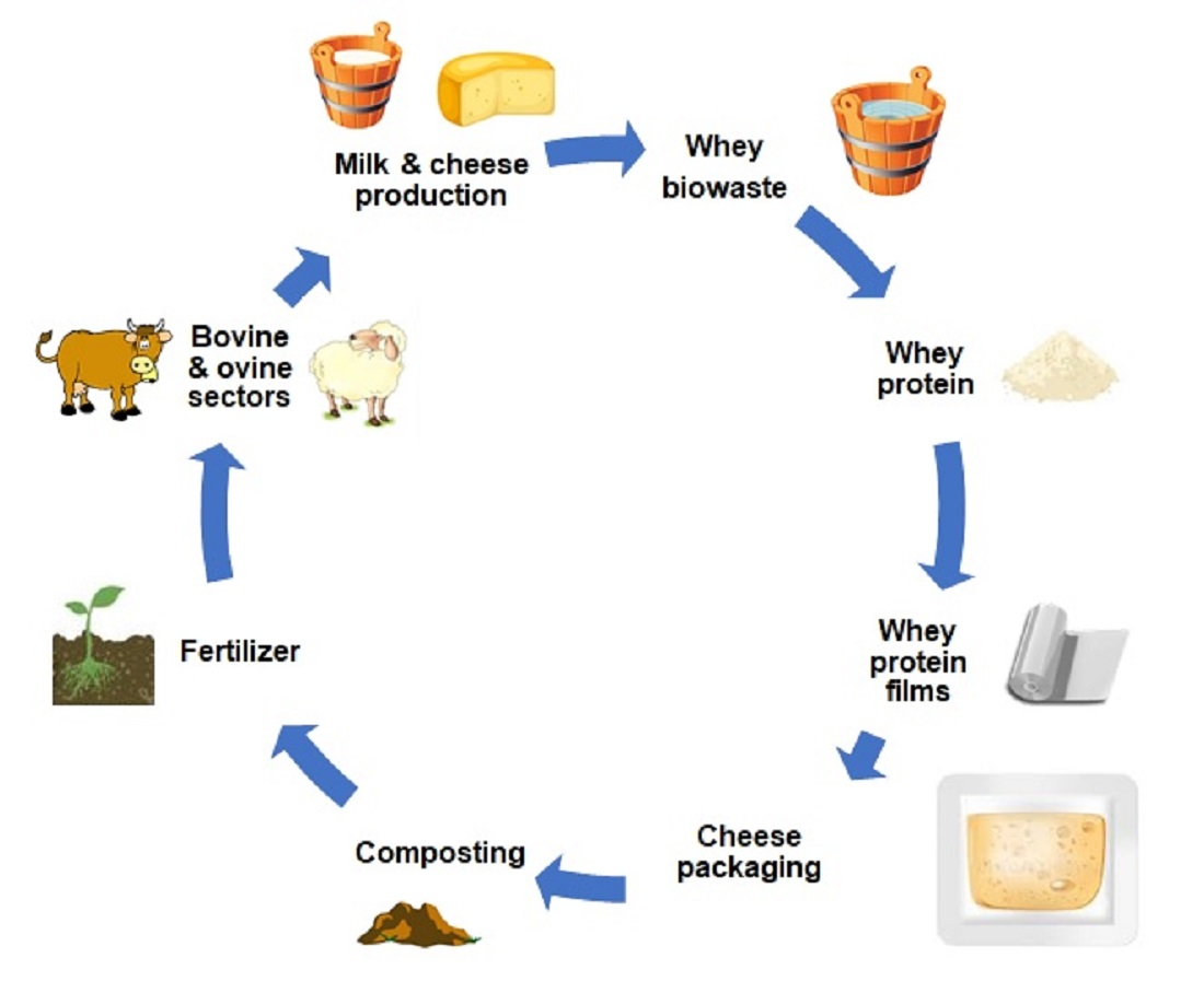 Is whey protein acidic